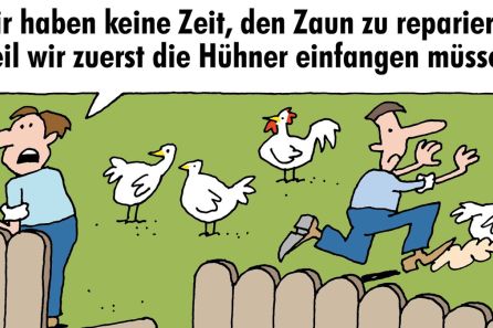 So überzeugen Sie die GL