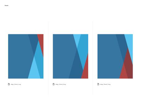 dwgr Manual Visuals
